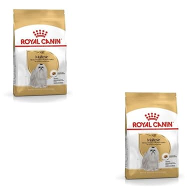 Royal Canin Maltese Adult | Confezione Doppia | 2 x 500 g | Cibo secco per Maltesi adulti | Per sostenere il pelo e la digestione | Per cani a partire dai 10 mesi