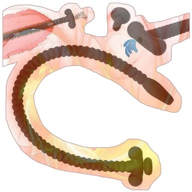 Tubo fitness maschile con rivestimento rimovibile, lungo tubo per esercizi per urinare facilmente -ITHB12 (A:Diametro del tubo: 6 mm)