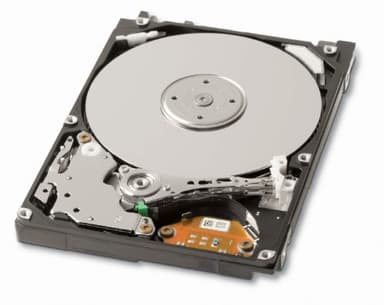 8,89 cm (3,5") Generic-Hard Drive SATA per Desktop, per PC, Mac, CCTV DVR, NAS, RAID 2 TB