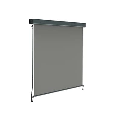 paramondo Tenda da Sole Verticale a Rullo per Esterno 2000 Protezione Solare per Balcone con Cassonetto e Manovella, 140 x 250 cm, Grigio, Struttura Antracite