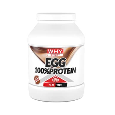 WHY SPORT EGG 100% PROTEIN - Proteine Senza Lattosio - Proteine in Polvere - Proteine di Albumina d’Uovo - Gusto Cacao - 750gr