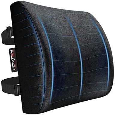FORTEM Cuscino Lombare Sedia Ufficio, Cuscino Lombare Auto, Supporto Schiena Sedia Gaming, Cuscino Ergonomico, Cuscino in Memory Foam, Cuscino per Sedia da Scrivania, Fodera Traspirante e Lavabile